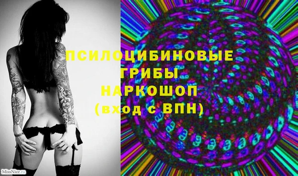 кокс Бородино