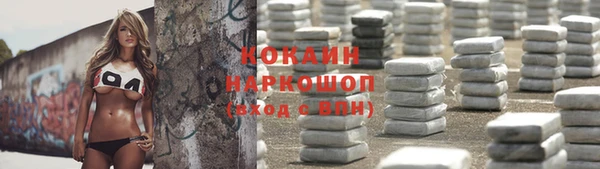 крисы Бронницы